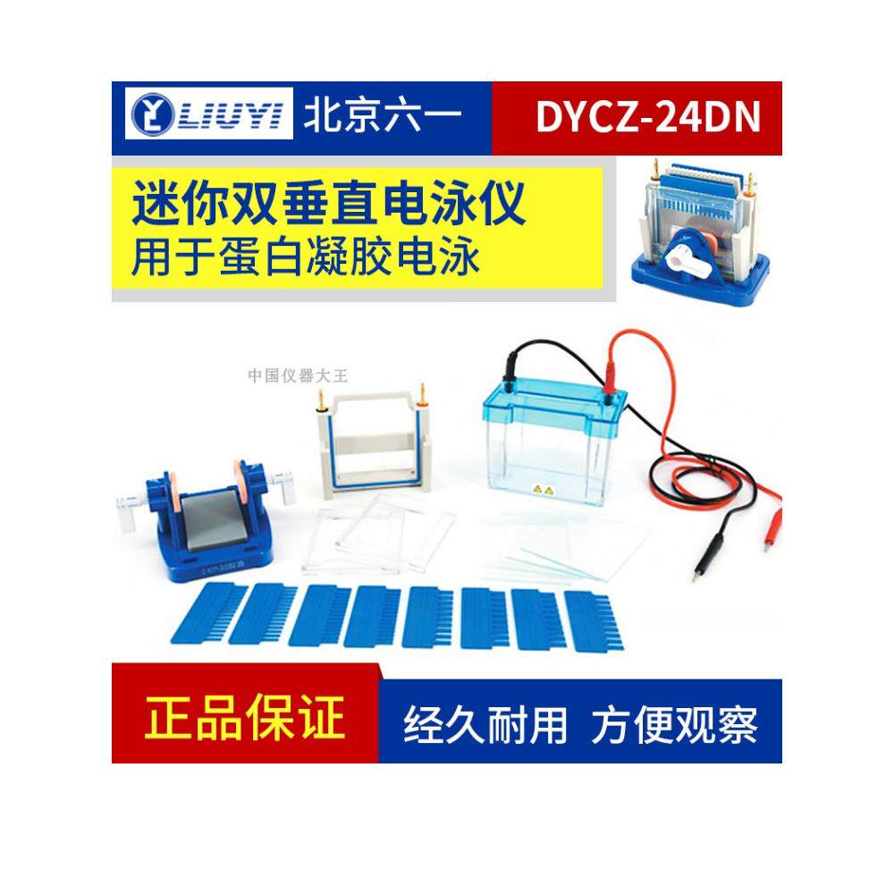 六一DYCZ-24DN蛋白电泳仪SDSPAGE迷你蛋白凝胶电泳槽平凹玻璃板wb