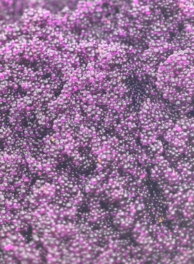 BSH04H氢型变色树脂紫色变棕黄色提高电导率