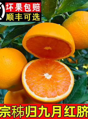 秭归九月红脐橙新鲜水果当季现摘整箱10斤孕妇榨汁多汁易手剥橙子