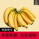 高山大香蕉新鲜水果当季 甜香蕉
