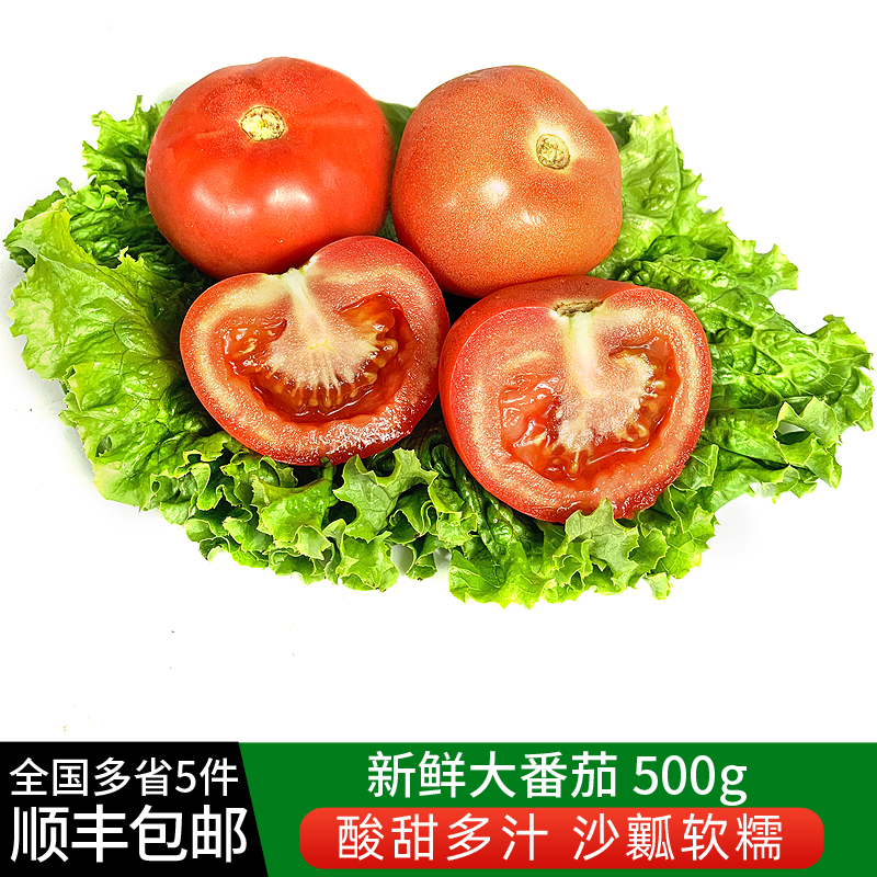 新鲜大番茄500g 生吃沙瓤西红柿农家蔬菜自然熟孕妇水果现摘柿子