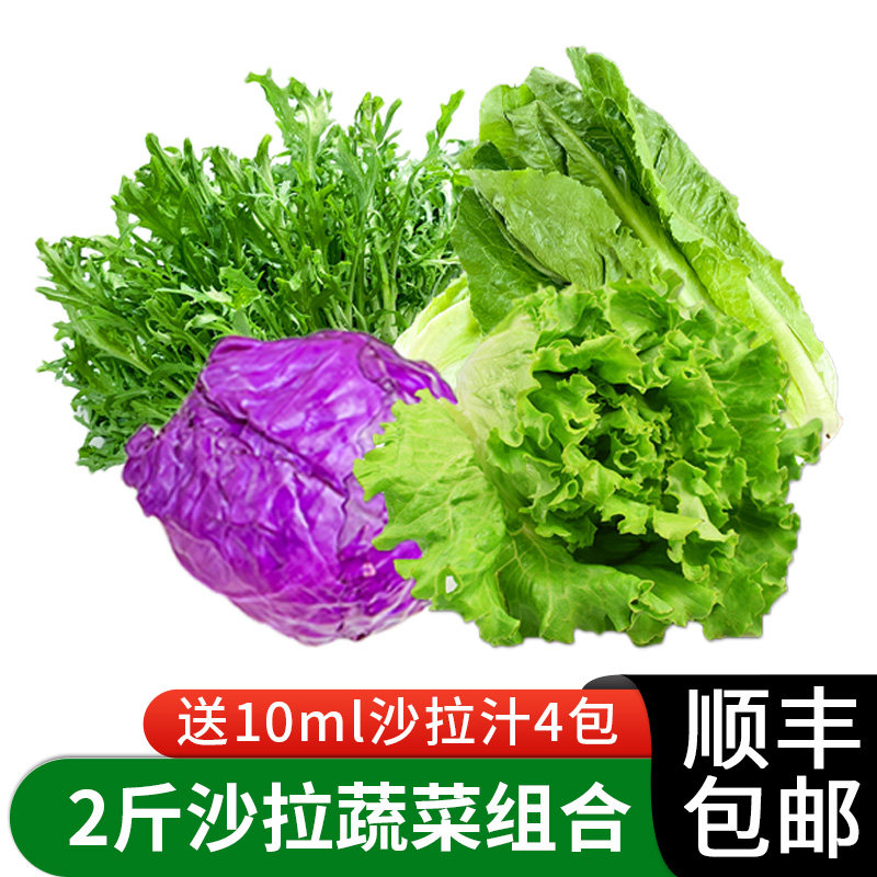 蔬菜沙拉套餐2斤 新鲜混合蔬果生菜色拉沙拉食材健身轻食套餐沙拉
