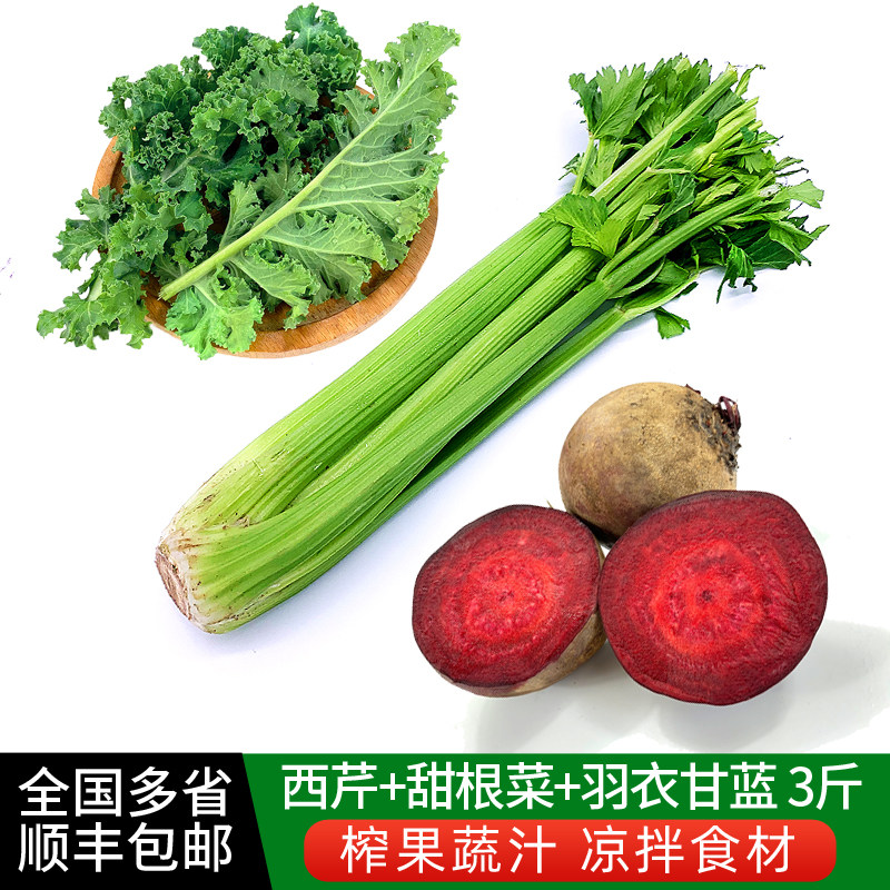新鲜蔬菜榨汁套餐3斤 西芹羽衣甘蓝甜根菜组合 西餐果蔬汁食材