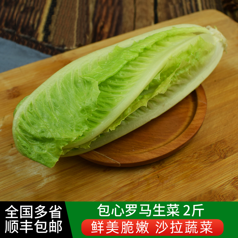 新鲜包心罗马生菜2斤罗马罗纹生菜凯撒沙拉蔬菜西餐沙拉食材包邮-封面