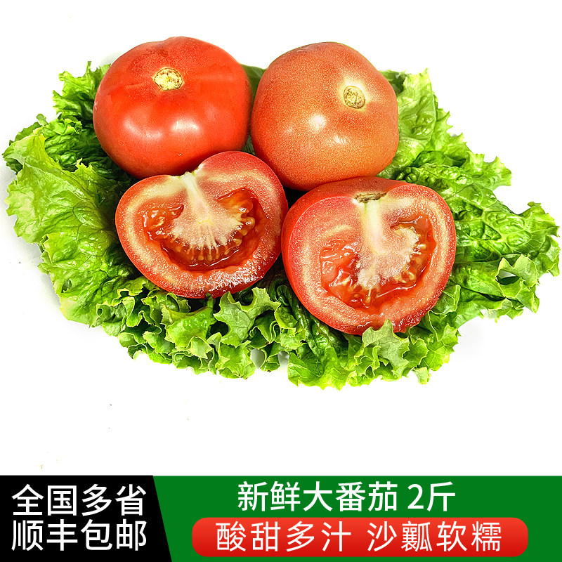 绿食者 沙瓤大番茄2斤 新鲜蔬菜水果西红柿农家自然熟现摘洋柿子,水产肉类/新鲜蔬果/熟食,番茄,淘宝优惠券,粉丝福利购,淘宝优惠卷