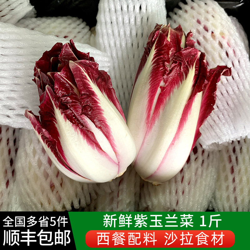 绿食者 紫玉兰菜500g新鲜蔬菜芽球菊苣chicory比利时沙拉西餐食材