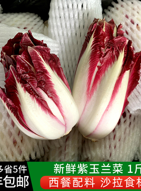 绿食者 紫玉兰菜500g新鲜蔬菜芽球菊苣chicory比利时沙拉西餐食材