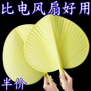 新款 芭蕉扇子 塑料手摇蒲扇加大防摔坏传统老式 家用纳凉扇夏季