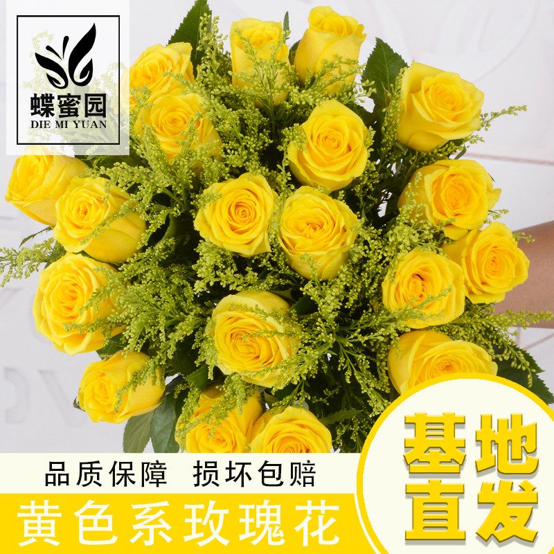 云南直发黄色玫瑰鲜切花节日活动花材办公室家庭插花水养金枝玉叶