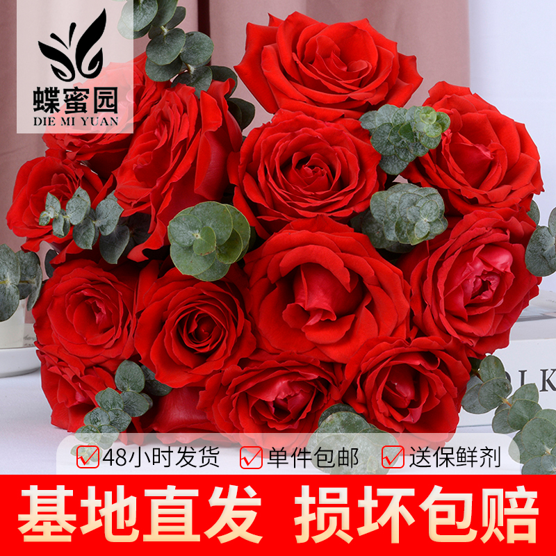 云南基地直发红玫瑰鲜切花