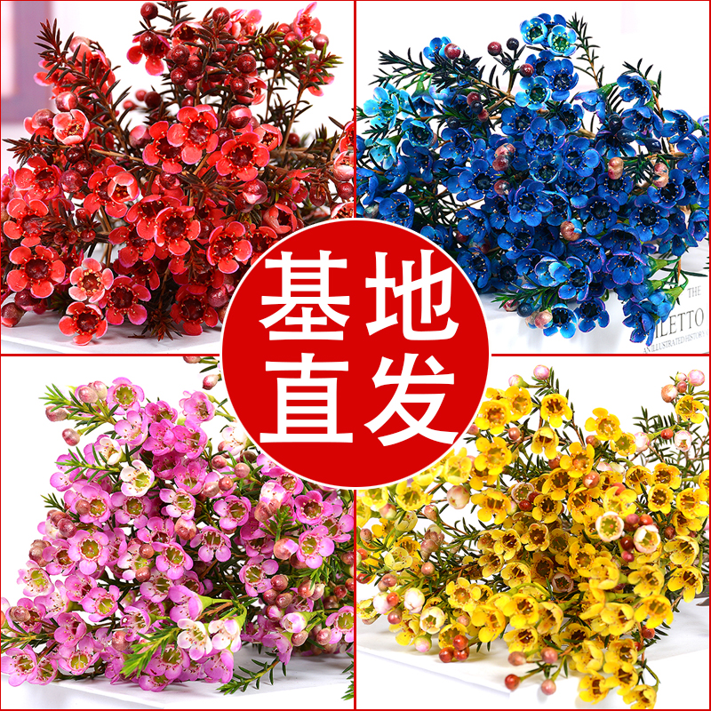 蝶蜜园水养插花鲜切花客厅办公室