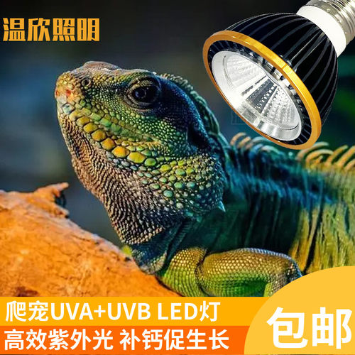 爬宠箱鬃蜥蜴uvb+uva乌龟晒背灯全光谱灯龟缸补钙太阳灯LED3W灯泡