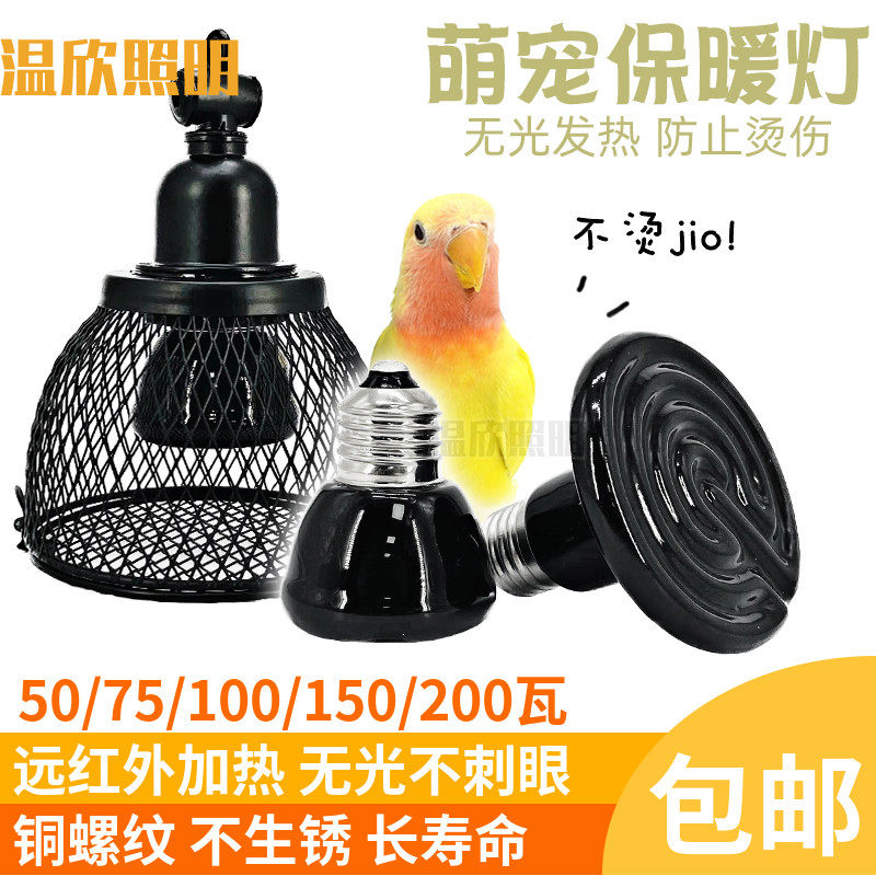 宠物过冬神器猫狗保温灯陶瓷红外加热灯鹦鹉爬虫龟箱芦丁鸡防寒保,家装灯饰光源,LED球泡灯,淘宝优惠券,粉丝福利购,淘宝优惠卷