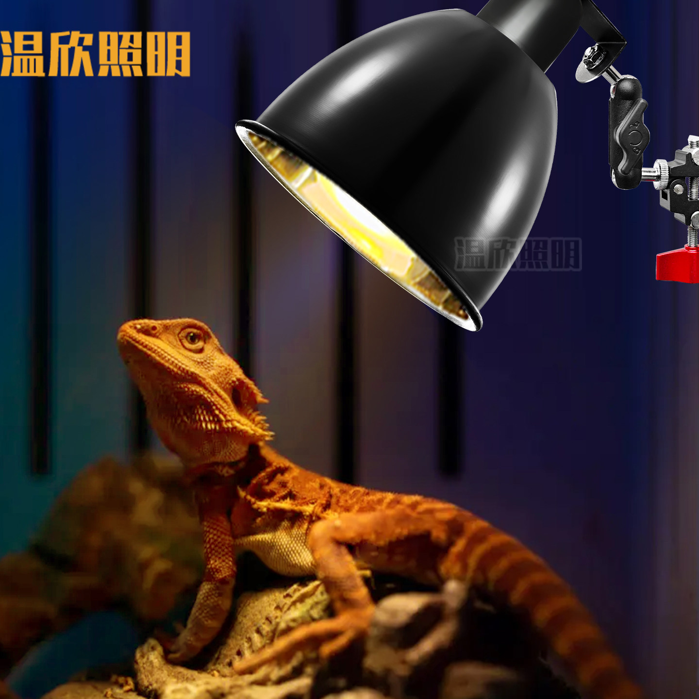 宠物灯具万向灯夹大力夹子灯UVAUVB反光杯反射灯罩爬宠植物生长灯