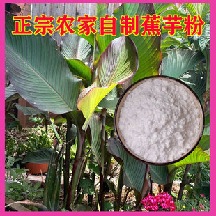 农家蕃芋粉自制蕉芋粉焦芋粉竹芋粉芭蕉芋头无沙糖食用淀粉樵芋粉