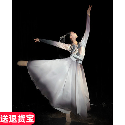 水墨古典舞演出服女中国风独舞服装舞台现代舞扇子舞考级艺考表演