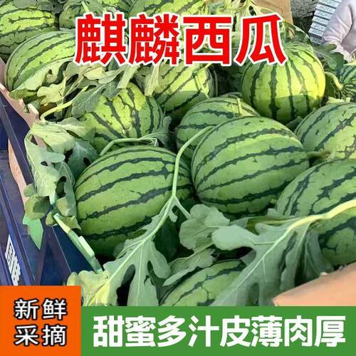 云南正宗麒麟西瓜薄皮当季美都应季无籽有籽冰糖整箱新鲜发货水果