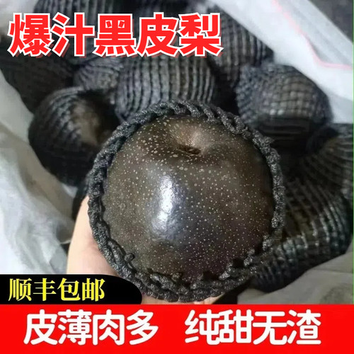 【顺丰】黑梨大果新鲜乌梨四川5斤脆甜原黑皮梨子孕妇水果高山