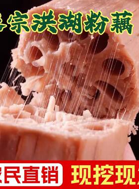 顺丰正宗现挖洪湖粉藕莲藕新鲜袋装糯米藕煲炖汤九孔藕湖北红莲