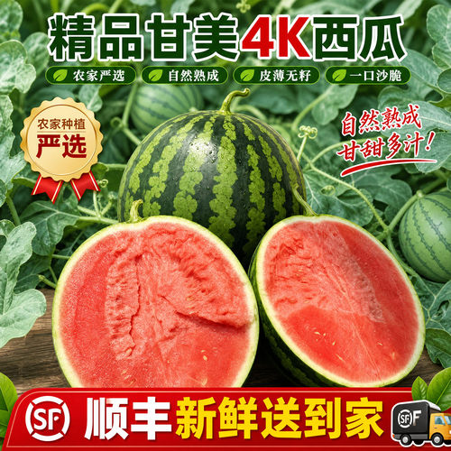 【顺丰】甘美4K西瓜盐城东台正宗新鲜水果农家清甜脆战神无籽整箱