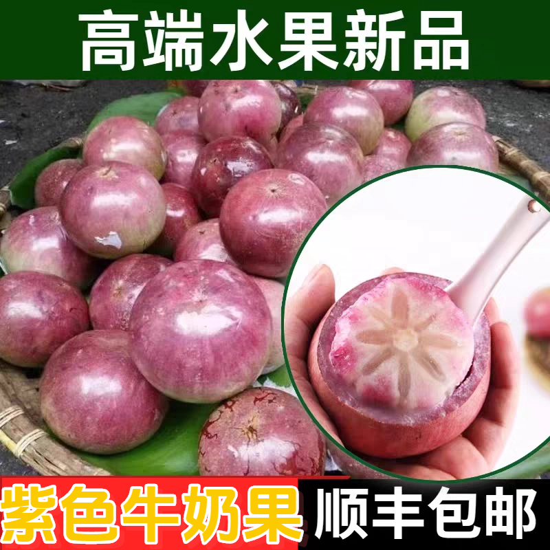 越南进口牛奶果热带水果特产