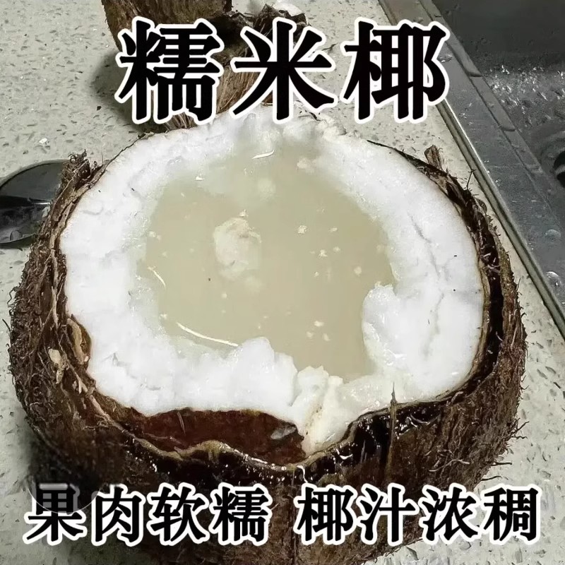 当季新鲜泰国进口糯米椰600-900g重椰子泰式甜品绵软糯叽叽水果