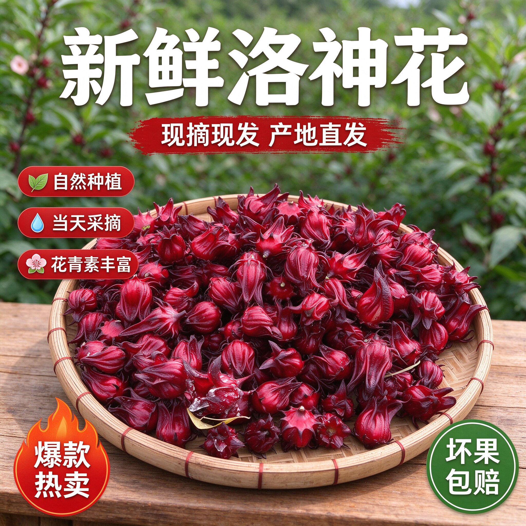 新鲜现摘洛神花新鲜红桃k花玫瑰茹可做果脯果茶酵素泡酒现货包邮