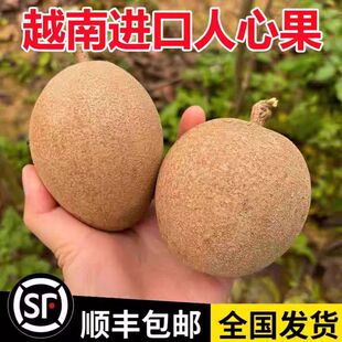 【顺丰】越南人心果新鲜当季孕妇香甜果现摘稀罕见热带养生人参果