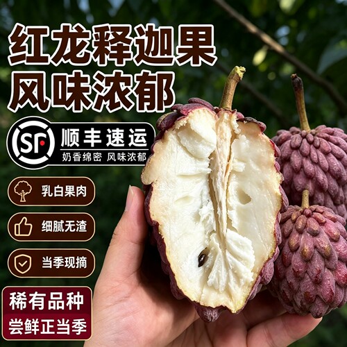 顺丰海南红龙释迦果新鲜应季水果玫瑰释迦果大目番荔枝香甜软糯