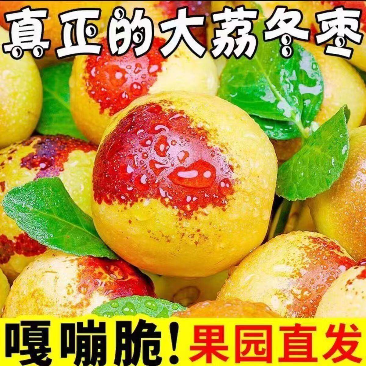顺丰陕西大荔冬枣礼盒新鲜水果当季现摘特大脆甜红鲜枣子现货红枣