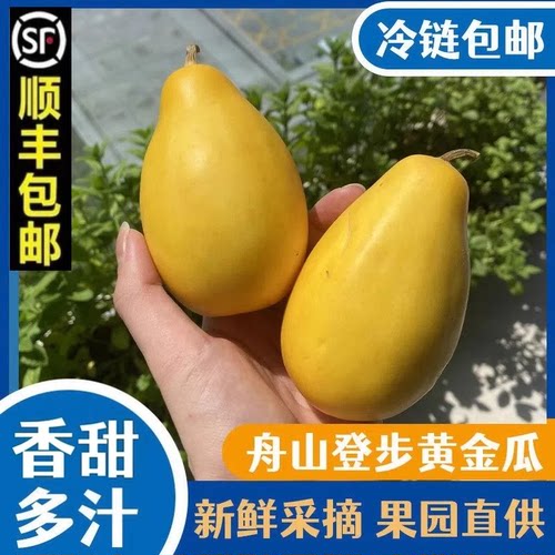 顺丰舟山登步黄金瓜新鲜当季产地直发香瓜 普陀小佛瓜甜瓜脆瓜3斤