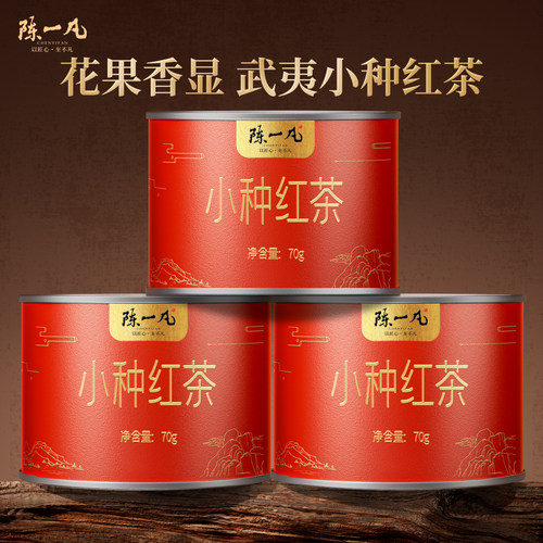 陈一凡小种红茶浓香型功夫红茶