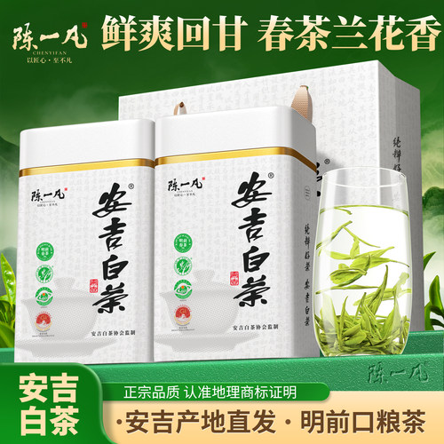 陈一凡明前安吉白茶新茶春茶250g