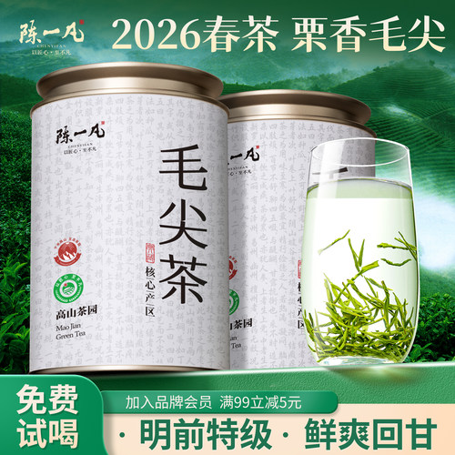 特级明前信阳原产毛尖茶绿茶300g