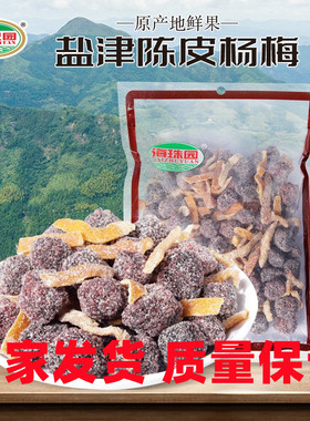 海珠园盐津陈皮杨梅400g李解农家自制新鲜杨梅干蜜饯果脯果干零食