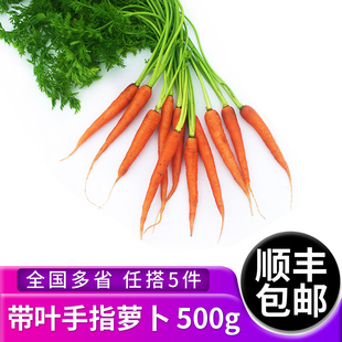 包邮 新鲜蔬菜迷你水果胡萝卜色拉沙拉食材5件 带叶手指胡萝卜500g