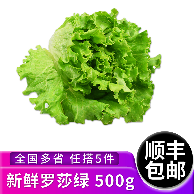 新鲜蔬菜沙拉食材生菜花边包邮