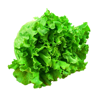 新鲜蔬菜沙拉食材生菜花边包邮