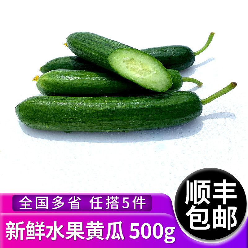 水果黄瓜500g新鲜蔬菜食材新鲜短