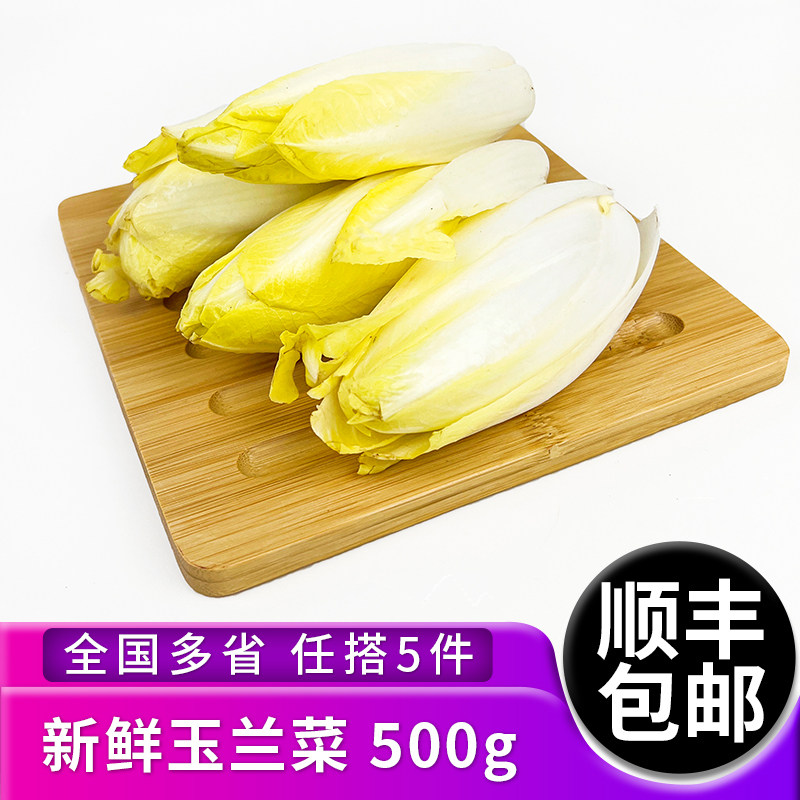 玉兰菜500g新鲜蔬菜沙拉食材