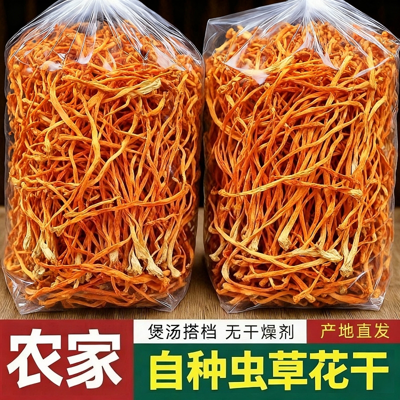 特级虫草花干货煲汤干虫草花新鲜官方旗舰店草蛹虫草金虫草炖汤包