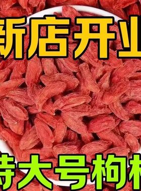 枸杞子宁夏特级500g正宗大颗粒红