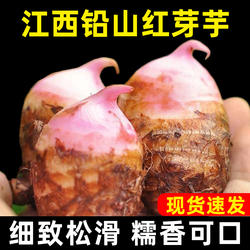 江西红芽芋铅山特产2025年新鲜上市毛芋小芋仔芋艿粉糯软滑香芋