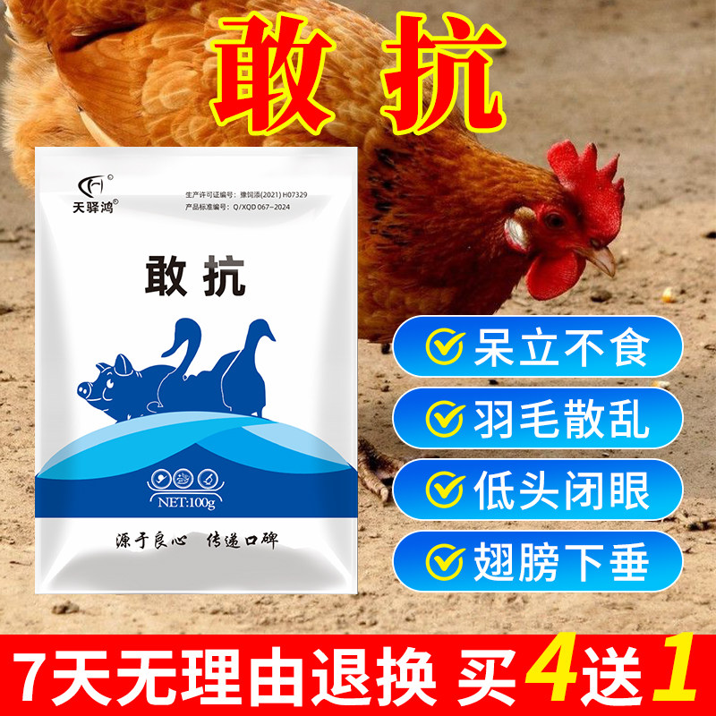 敢抗养鸡专用药鸡瘟特效鸡药鸡病全治养鸡用小鸡特效专用药禽流感