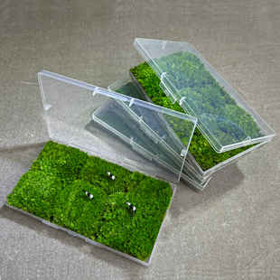 茵木花道 创意高品质人工驯养鲜发货活苔藓白发藓小灰藓短绒藓