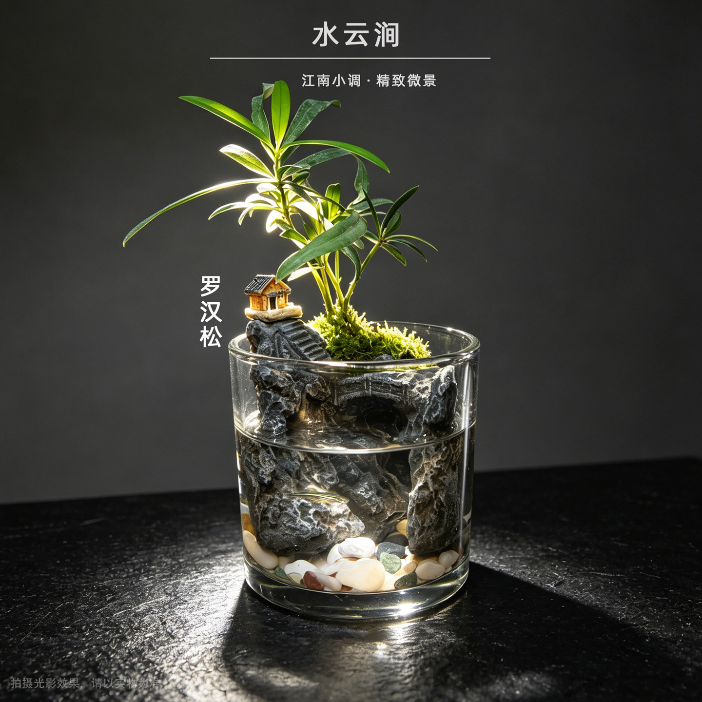 桌面绿植创意微景观造景罗汉松苔藓室内成品水培吸水石整套水云涧