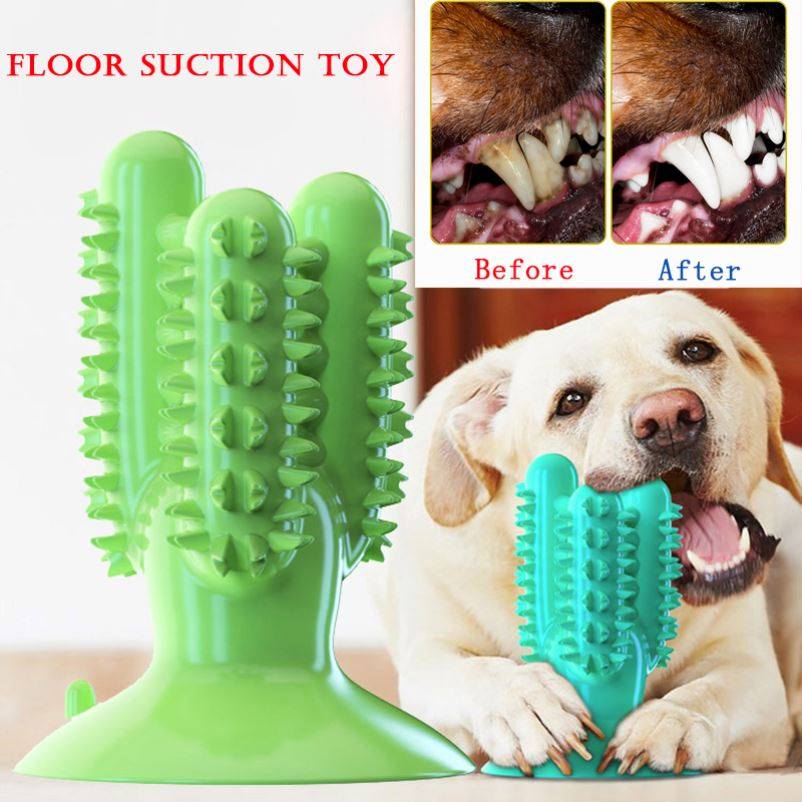 Dog Toothbrush Toys for Dogs Interactive Toy Training IQ 1