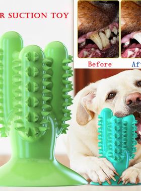 Dog Toothbrush Toys for Dogs Interactive Toy Training IQ 1