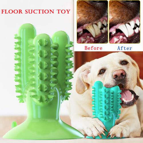 DogToothbrushToysfor