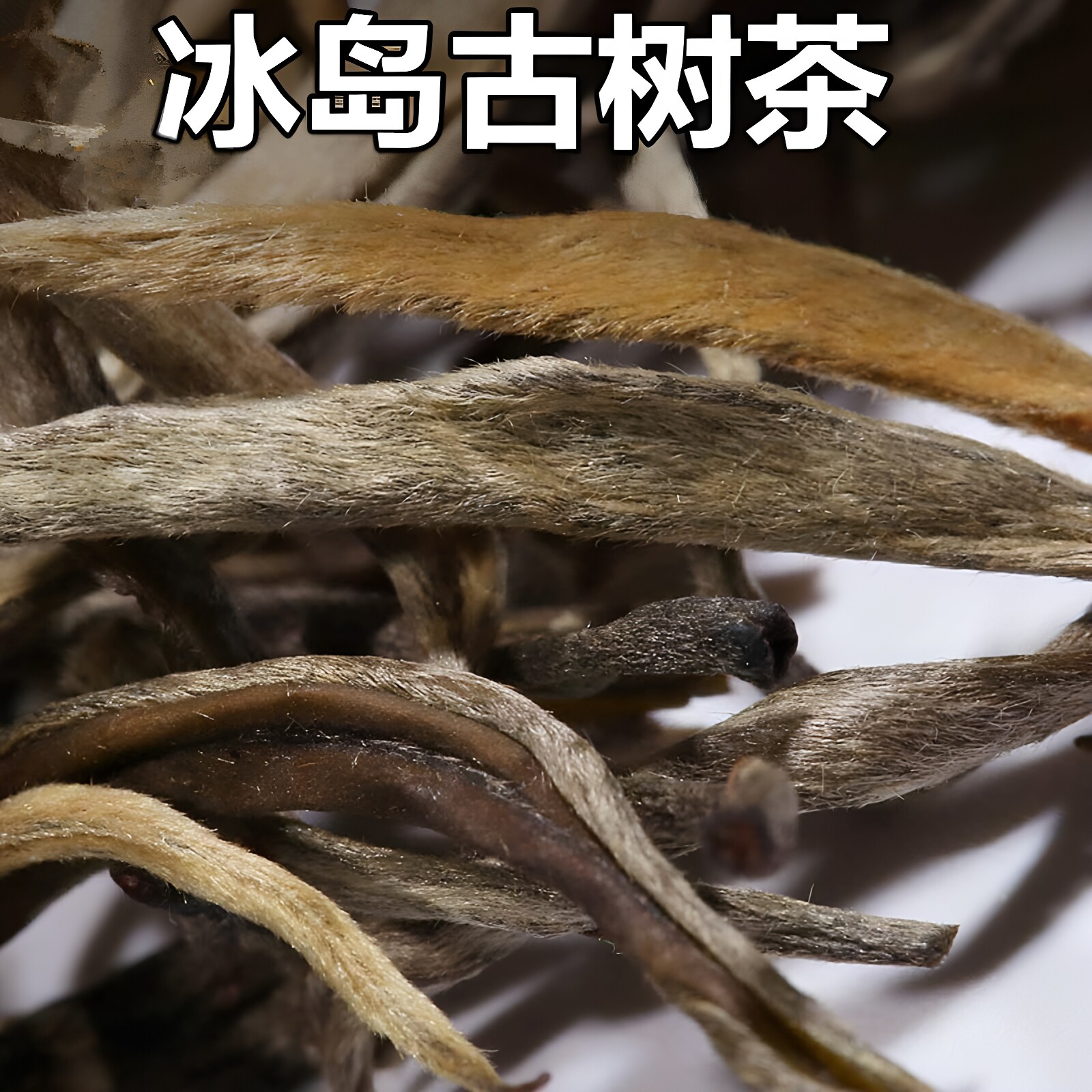 冰岛老寨古树普洱生茶纯料500g